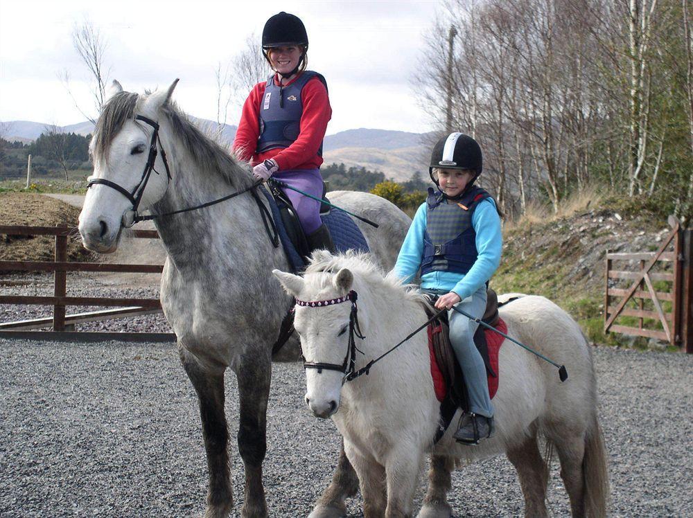 Eclipse Holiday Homes&Adventure Centre Kenmare Exterior foto